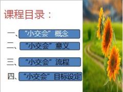 怎樣學(xué)會開展鄉(xiāng)村家庭小交會20頁.ppt