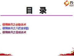 極限單兵銷售技巧話術(shù)八把金鑰匙促成拒絕處理83頁.ppt