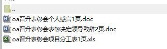 晋升表彰会领导致辞个人感言项目分工.rar