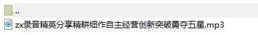 录音精英分享精耕细作自主经营创新突破勇夺五星.rar
