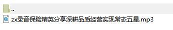 录音保险精英分享深耕品质经营实现常态五星.rar