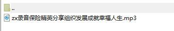 录音保险精英分享组织发展成就幸福人生.rar