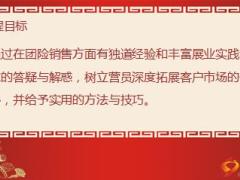 团险销售专家门诊流程17页.ppt