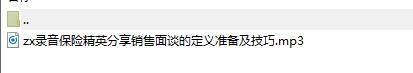 录音保险精英分享销售面谈的定义准备及技巧.rar