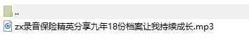 录音保险精英分享九年18份档案让我持续成长.rar