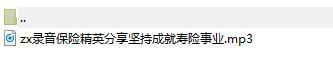 录音保险精英分享坚持成就寿险事业.rar