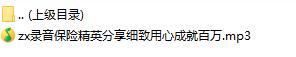 录音保险精英分享细致用心成就百万.rar