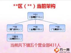 優(yōu)秀總監(jiān)人力發(fā)展分享報告49頁.ppt