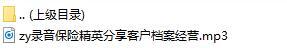 录音保险精英分享客户档案经营.rar
