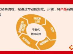 主任养成培训班3专业化增员流程概述18页.ppt