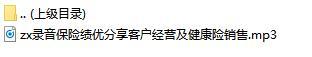 录音保险绩优分享客户经营及健康险销售.rar
