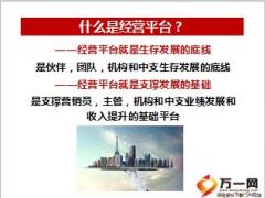 專業(yè)經(jīng)營平臺(tái)的建立41頁.ppt