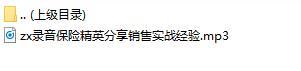 录音保险精英分享销售实战经验.rar