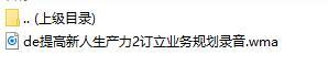 提高新人生产力2订立业务规划录音.rar