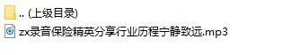录音保险精英分享行业历程宁静致远.rar