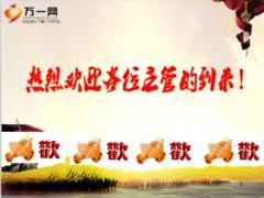 保险公司2016半年工作总结暨百强争霸启动会流程片21页.ppt