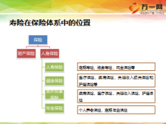 讀懂保險(xiǎn)合同含備注31頁.ppt