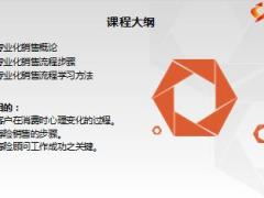 新人崗前培訓(xùn)班5銷售概論專業(yè)化銷售流程23頁.ppt