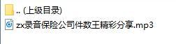 录音保险公司件数王精彩分享.rar