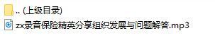 录音保险精英分享组织发展与问题解答.rar