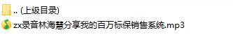 录音林海慧分享我的百万标保销售系统.rar