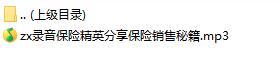 录音保险精英分享保险销售秘籍.rar