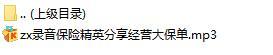 录音保险精英分享经营大保单.rar