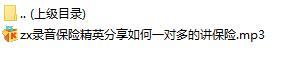 录音保险精英分享如何一对多的讲保险.rar
