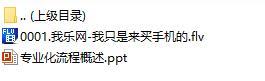 银保新人成长线培训8专业化流程概述含视频.rar