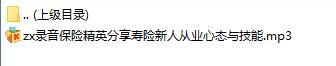 录音保险精英分享寿险新人从业心态与技能.rar
