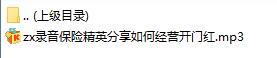 录音保险精英分享如何经营开门红.rar