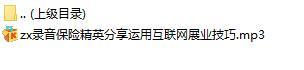 录音保险精英分享运用互联网展业技巧.rar