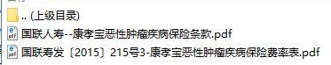国联人寿康孝宝恶性肿瘤疾病保险条款费率表.rar
