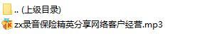 录音保险精英分享网络客户经营.rar