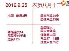 保险公司部门早会流程11页.ppt