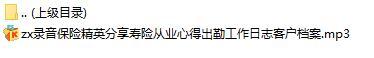 录音保险精英分享寿险从业心得出勤工作日志客户档案.rar