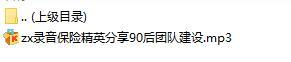 录音保险精英分享90后团队建设.rar
