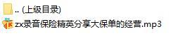 录音保险精英分享大保单的经营.rar