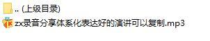 录音分享体系化表达好的演讲可以复制.rar