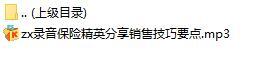 录音保险精英分享销售技巧要点.rar