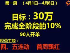保险公司高峰会追踪体系汇报25页.ppt