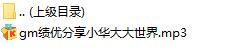 录音分享绩优分享小华大大世界.rar