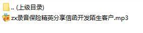 录音保险精英分享信函开发陌生客户.rar