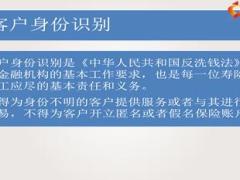 合規(guī)工作在保險(xiǎn)銷售中的日常業(yè)務(wù)操作要求13頁.PPT