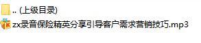 录音保险精英分享引导客户需求营销技巧.rar