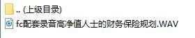 配套录音高净值人士的财务保险规划.rar