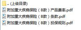 华夏附加重大疾病保险B款条款费率表投保规则.rar