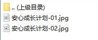 新华人寿安心成长计划彩页.rar