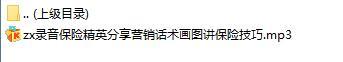 录音保险精英分享营销话术画图讲保险技巧.rar