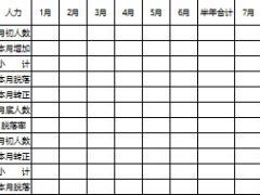 保險公司晉升營業(yè)部經(jīng)理年度經(jīng)營計劃書4頁.xls